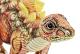 Peluche dinosaure orange 37 cm - Article Neuf