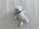 -Doudou ours blanc Osito Air val international