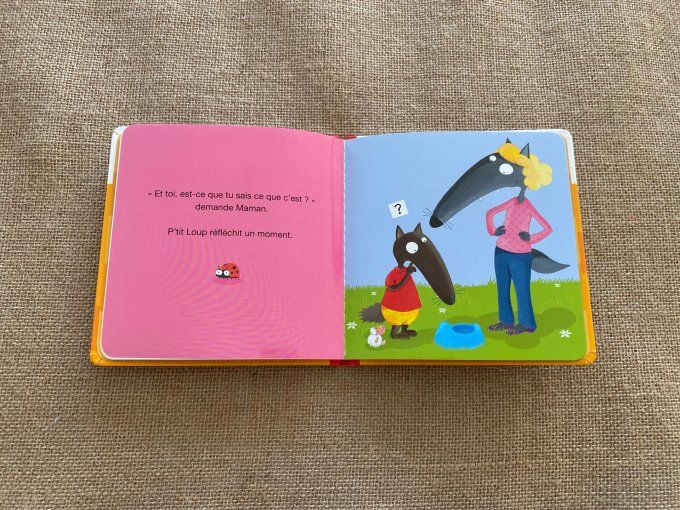 Livre p'tit loup va sur le pot Auzou d'occasion 