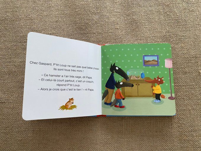 Livre p'tit loup a un animal de compagnie Auzou d'occasion