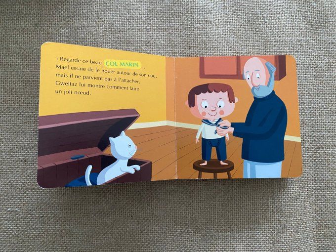  Livre Le Petit Matelot Découvre la Bretagne Christophe Boncens d'occasion 