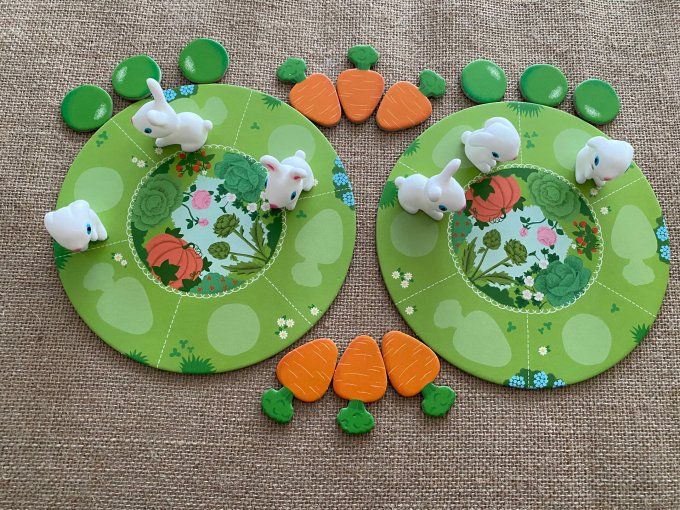 Jeu de société little COLLECT  Djeco d'occasion