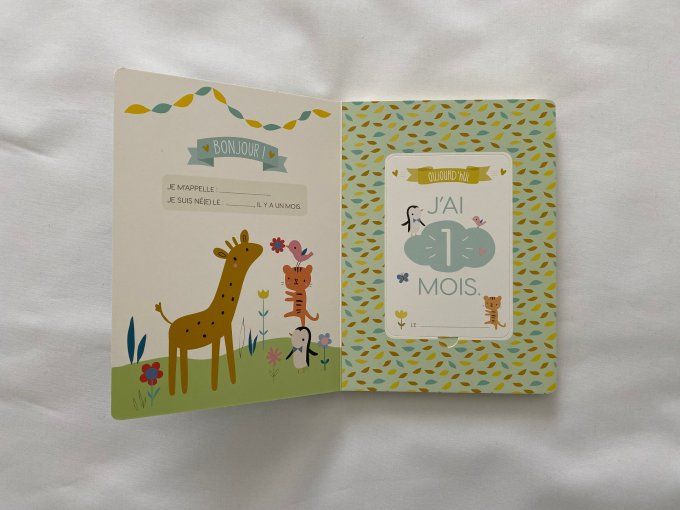 Mes premières fois Petit Doux Little Cube Fleurus - Article Neuf