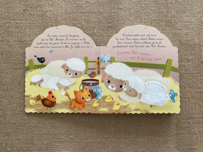 Livre Petit Mouton Les animodoux Fleurus d'occasion