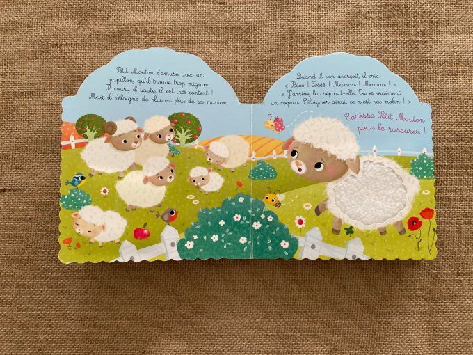 Livre Petit Mouton Les animodoux Fleurus d'occasion