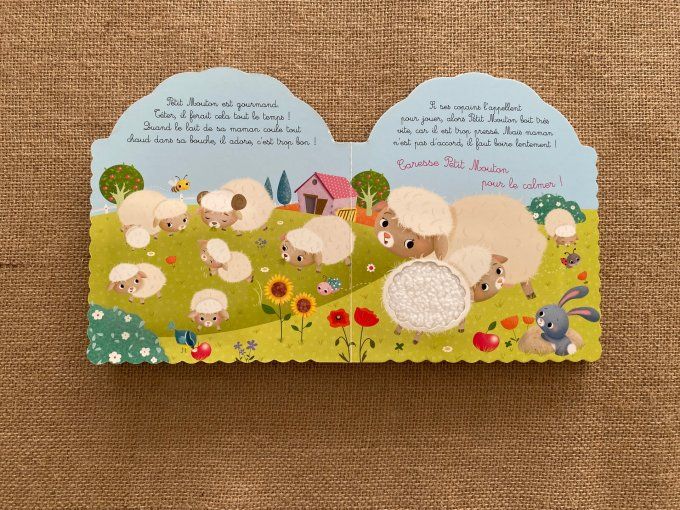 Livre Petit Mouton Les animodoux Fleurus d'occasion