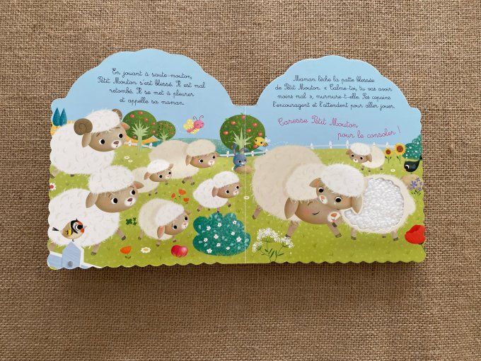 Livre Petit Mouton Les animodoux Fleurus d'occasion