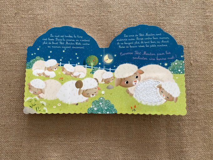 Livre Petit Mouton Les animodoux Fleurus d'occasion
