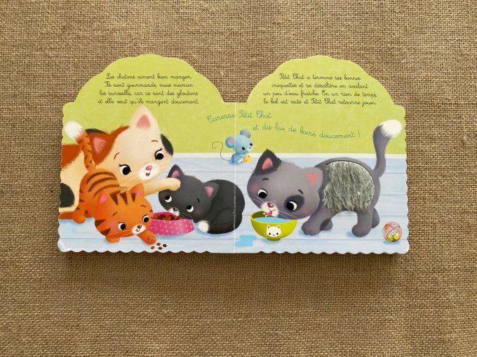 Livre Petit Chat Les animodoux Fleurus d'occasion