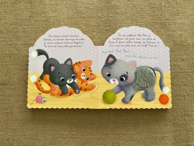 Livre Petit Chat Les animodoux Fleurus d'occasion