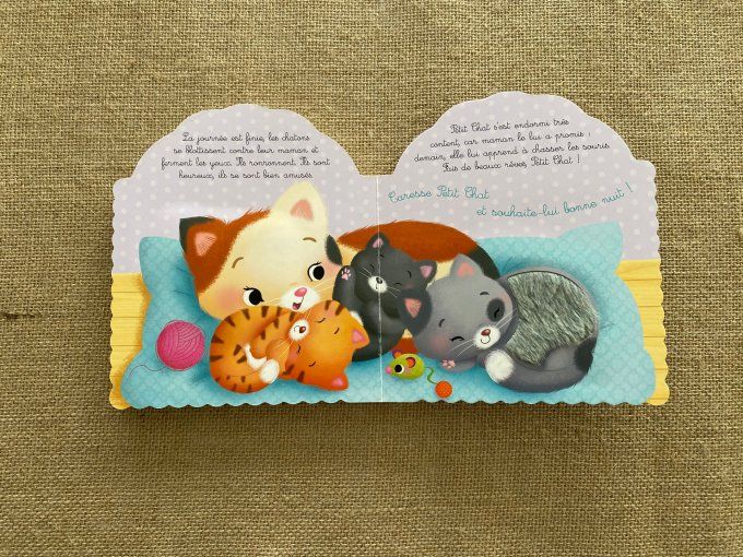 Livre Petit Chat Les animodoux Fleurus d'occasion