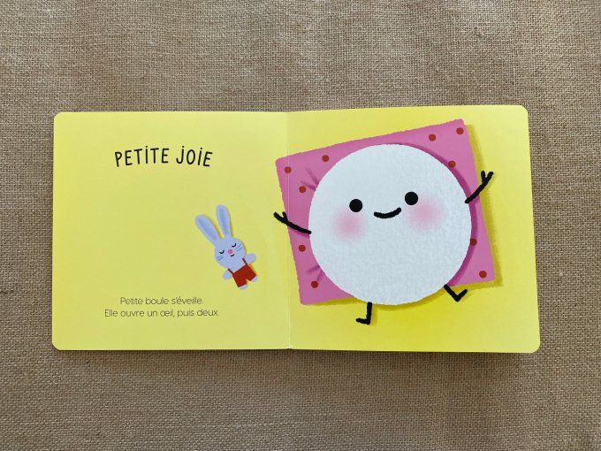 Livre Petites boules d'émotions Fleurus dès 9 mois d'occasion