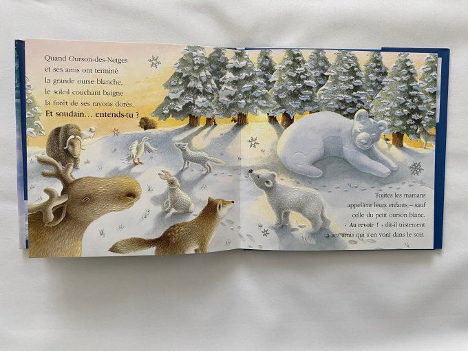 Livre Ourson des Neiges Miriam Moss Gautier Languereau d'occasion
