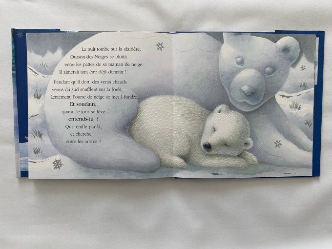 Livre Ourson des Neiges Miriam Moss Gautier Languereau d'occasion