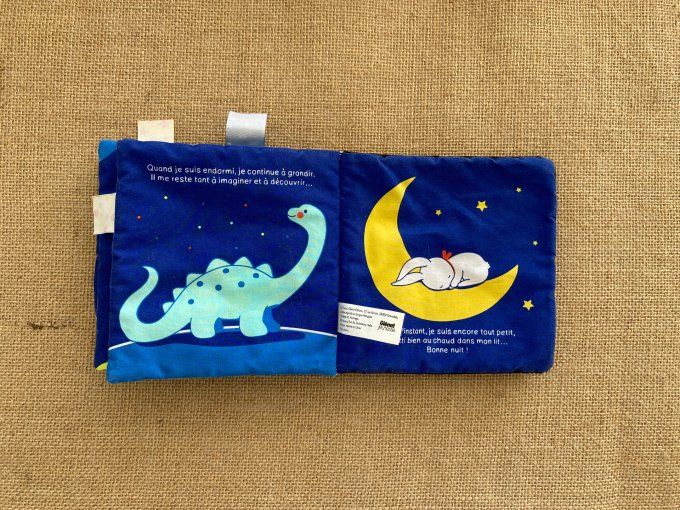 Livre tissu Dans mes rêves Giénat Jeunesse d'occasion