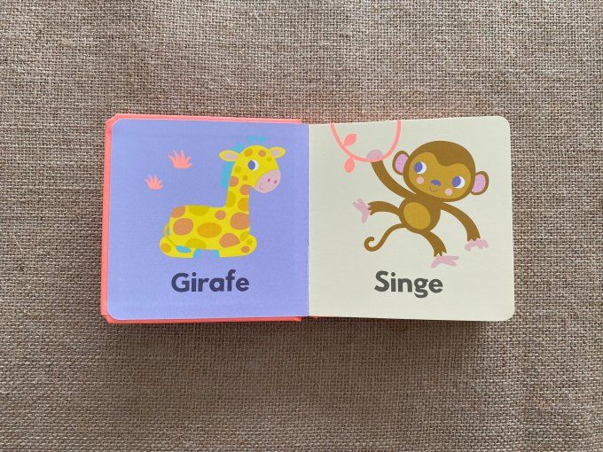 Livre Mes premiers Animaux Editions Grenouille d'occasion