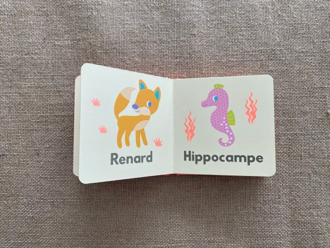 Livre Mes premiers Animaux Editions Grenouille d'occasion