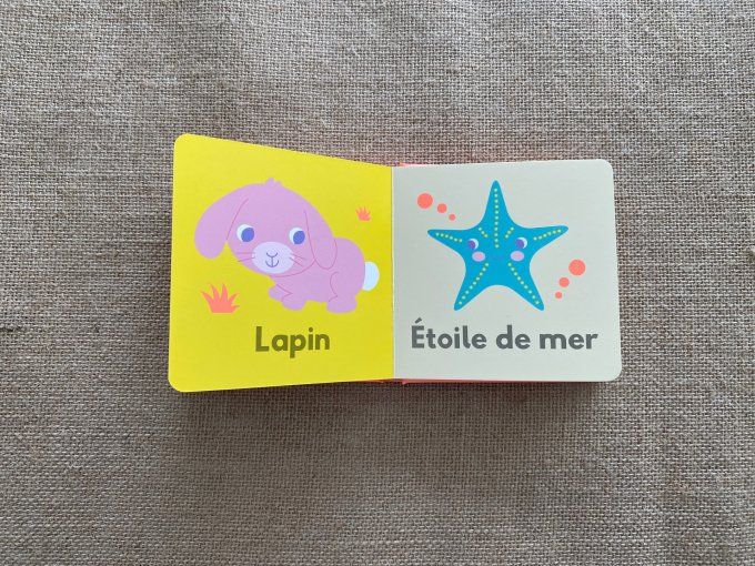 Livre Mes premiers Animaux Editions Grenouille d'occasion