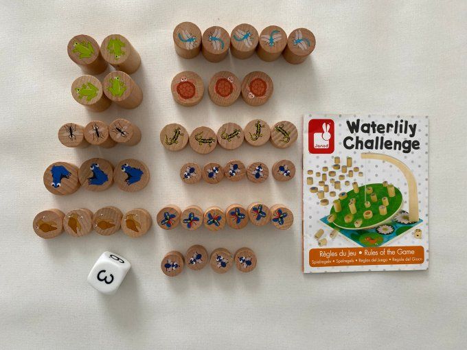 Jeu de société jeu d'adresse Waterlity Challenge en bois Janod d'occasion 