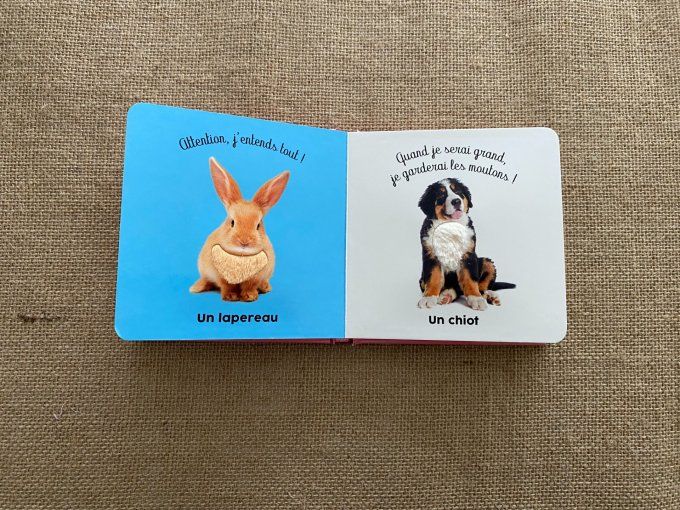 Livre les bébés de la ferme Langue au chat d'occasion 