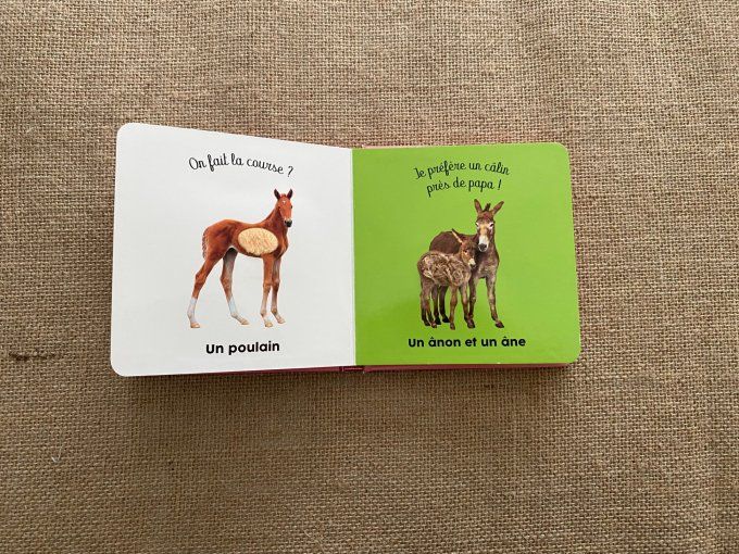 Livre les bébés de la ferme Langue au chat d'occasion 