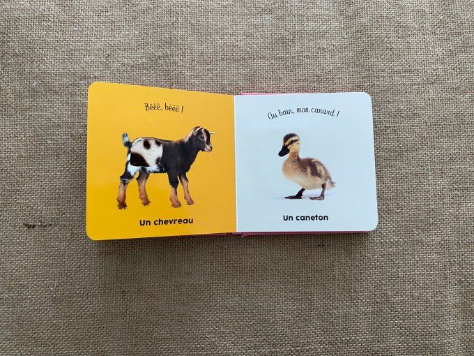 Livre les bébés de la ferme Langue au chat d'occasion 