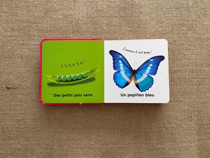 Livre les couleur à toucher Langue au Chat d'occasion 