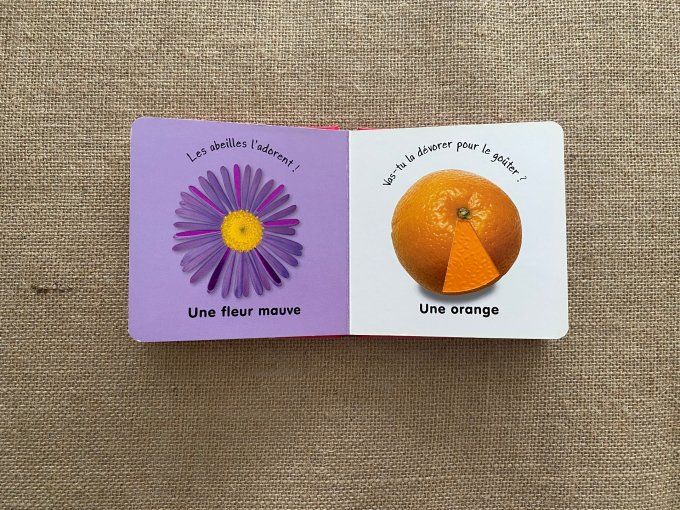 Livre les couleur à toucher Langue au Chat d'occasion 