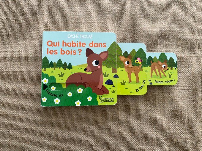 Livre Qui habite dans les bois ? Caché Trouvé Larousse Jeunesse d'occasion