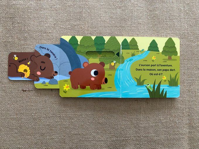 Livre Qui habite dans les bois ? Caché Trouvé Larousse Jeunesse d'occasion