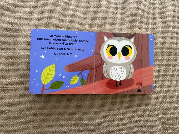 Livre Qui habite dans les bois ? Caché Trouvé Larousse Jeunesse d'occasion