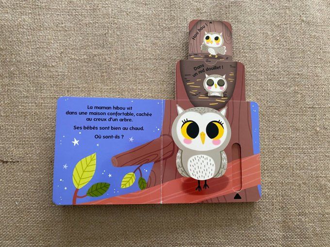 Livre Qui habite dans les bois ? Caché Trouvé Larousse Jeunesse d'occasion