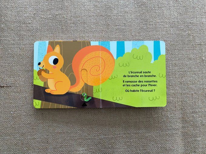 Livre Qui habite dans les bois ? Caché Trouvé Larousse Jeunesse d'occasion