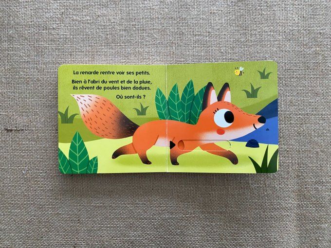 Livre Qui habite dans les bois ? Caché Trouvé Larousse Jeunesse d'occasion