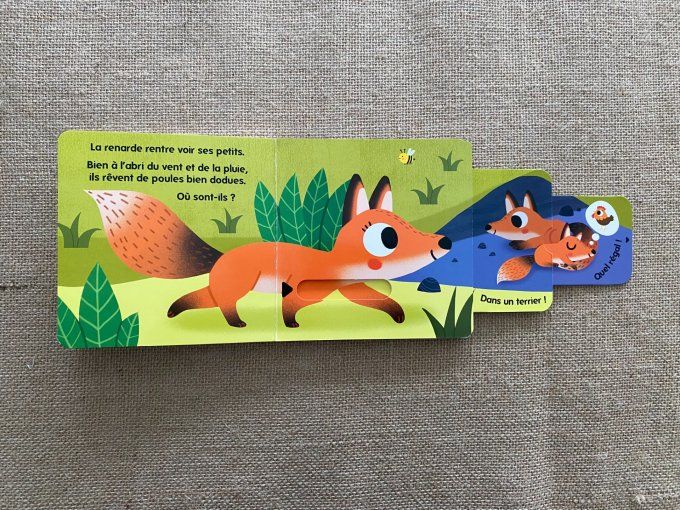 Livre Qui habite dans les bois ? Caché Trouvé Larousse Jeunesse d'occasion