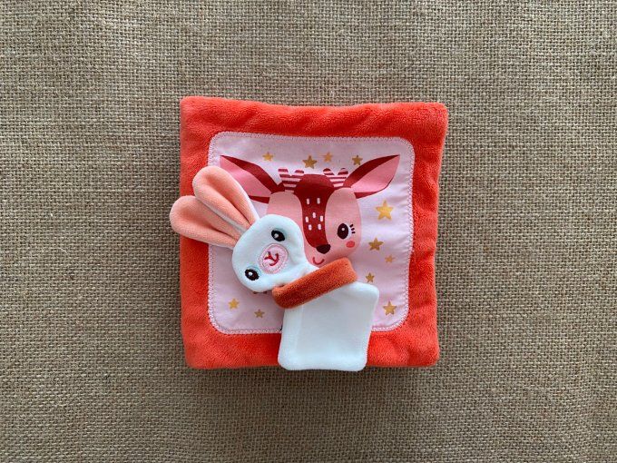 Livre  d'activités Stella et son doudou Lilliputiens d'occasion 