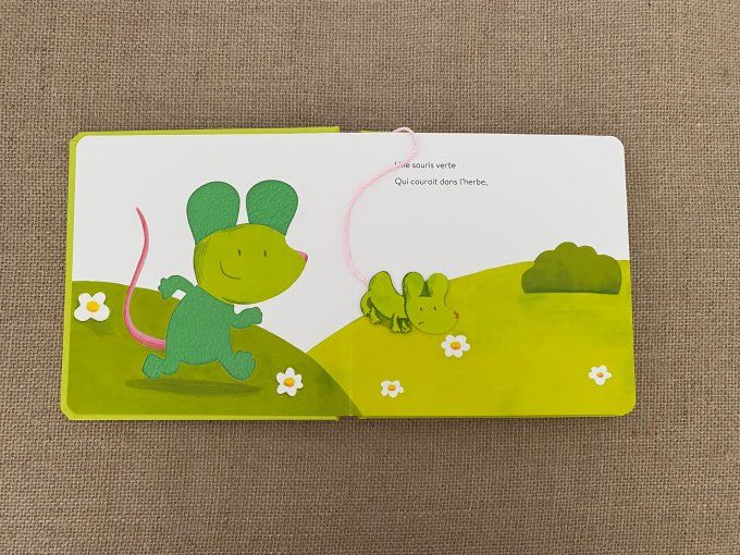 Livre Une souris verte Milan d'occasion