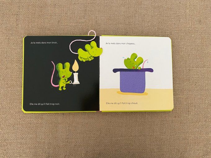 Livre Une souris verte Milan d'occasion
