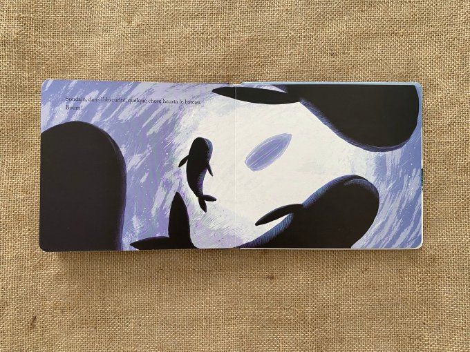 Livre l'enfant, la baleine et l'hiver Milan d'occasion