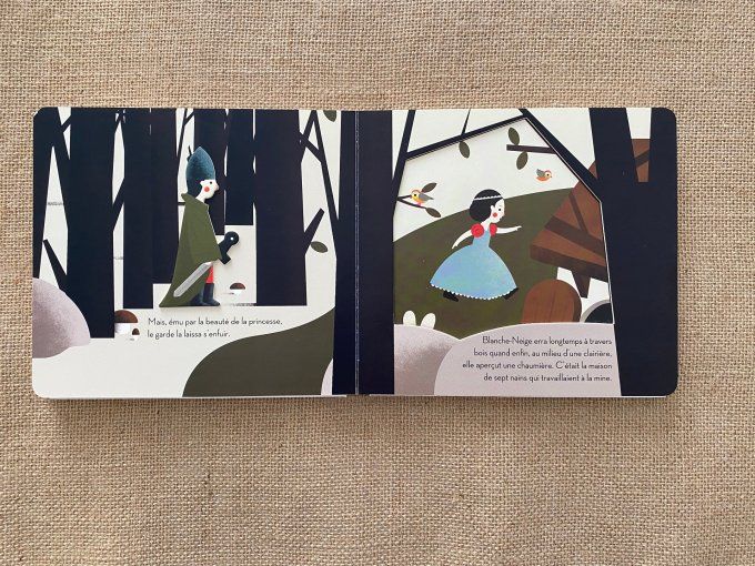 Livre Blanche Neige collection Gigognes Xavier Deneux Milan d'occasion