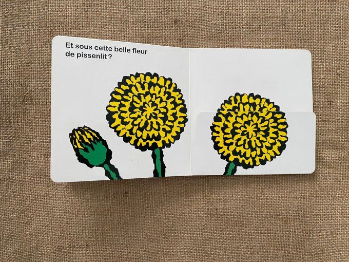 Livre Qui se cache sous les fleurs Yusuke Yonezu d'occasion