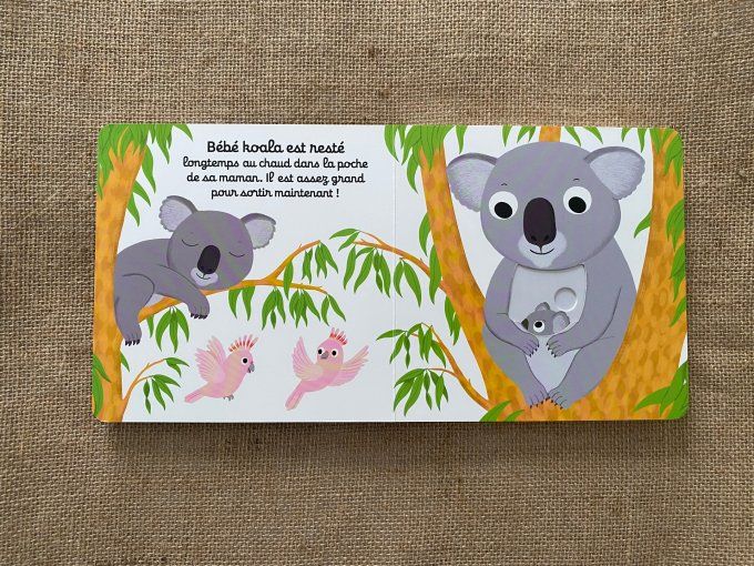Livre Bonne nuit bébé koala Nathan d'occasion