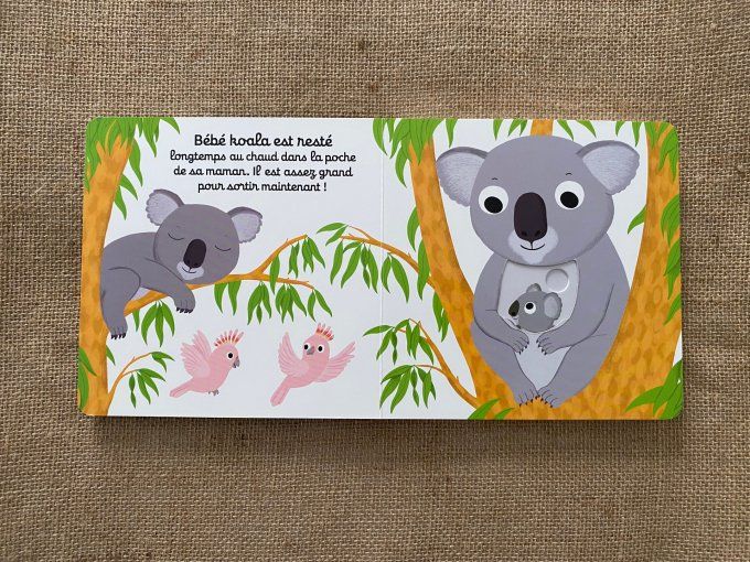 Livre Bonne nuit bébé koala Nathan d'occasion