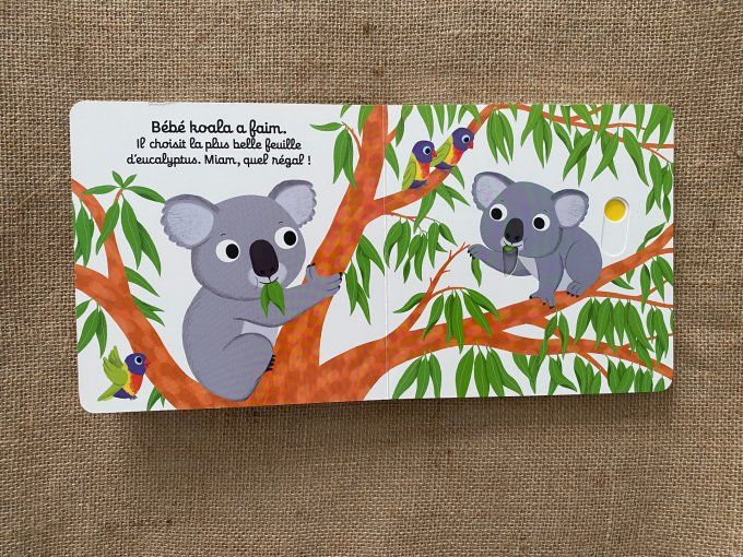 Livre Bonne nuit bébé koala Nathan d'occasion
