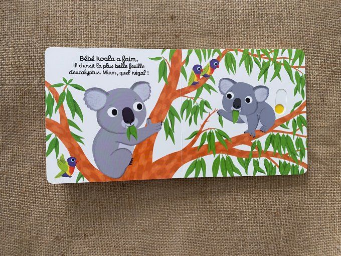 Livre Bonne nuit bébé koala Nathan d'occasion