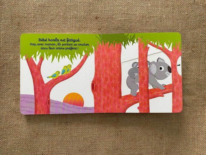 Livre Bonne nuit bébé koala Nathan d'occasion