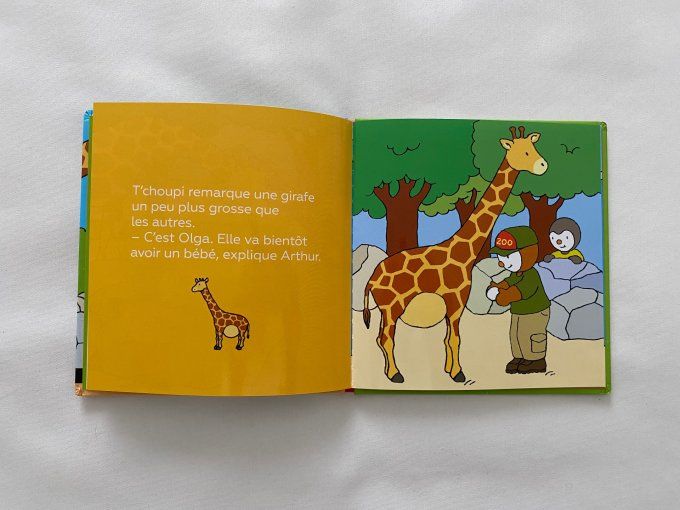 Livre T'choupi va au zoo Nathan d'occasion 