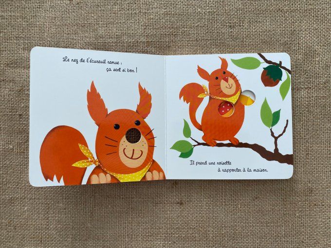 Livre Drôles de bêbêtes A animer avec les doigts ! Editions Quatre Fleuves d'occasion