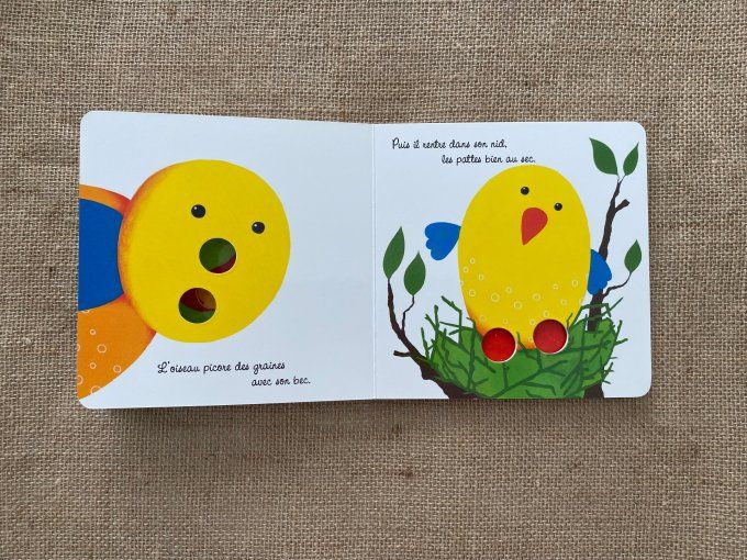 Livre Drôles de bêbêtes A animer avec les doigts ! Editions Quatre Fleuves d'occasion