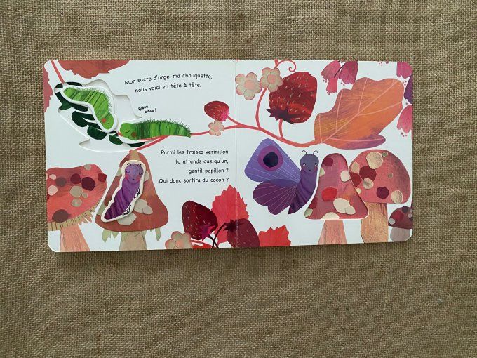 Livre Bisou, bisou ! Bryony Clarkson Editions Quatre Fleuves d'occasion 